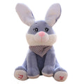 Customizable Musical Plush animal for Kids