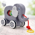 Interactive Pull Along Toy Collection