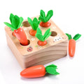 Building Blocks for Creative Minds
