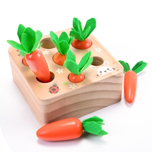 Building Blocks for Creative Minds