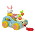 Colorful Pull Along Toy Collection