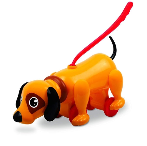 Pull Along Toy for Early Learning