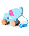 Educational Pull Along Toys for Children