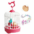 Fun Musical Sound Toy Collection